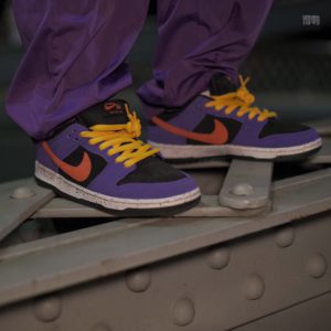 [NIKE] 나이키 SB 덩크 로우 ACG 테라 Nike SB Dunk Low ACG Terra