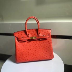 [HERMES] BIRKIN BAG 에르메스 버킨백 25cm 타조가죽