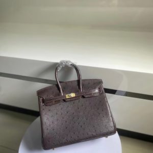 [HERMES] BIRKIN BAG 에르메스 버킨백 25cm 타조가죽